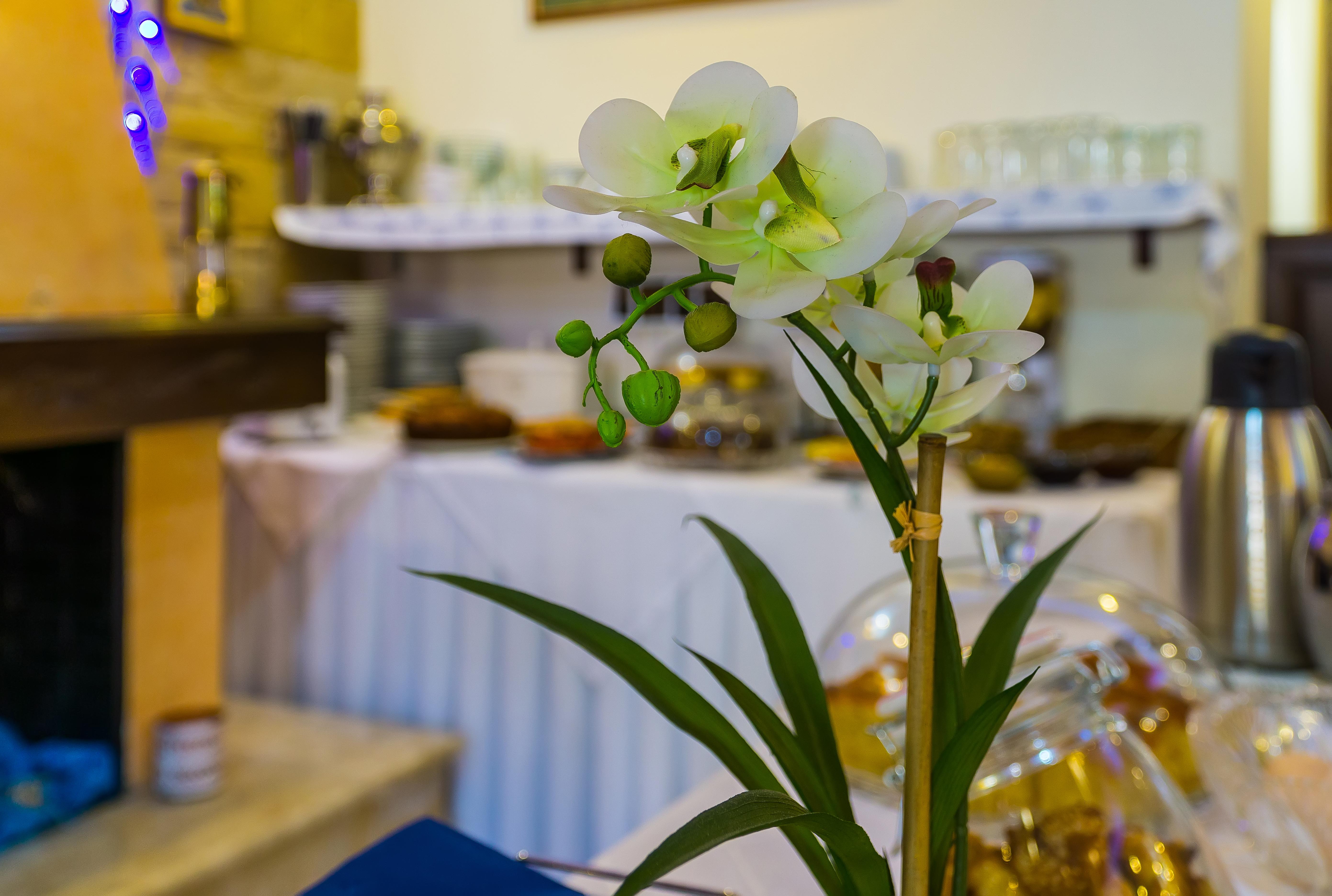 "Epavlis Boutique Galaxidi" Hotel Bagian luar foto